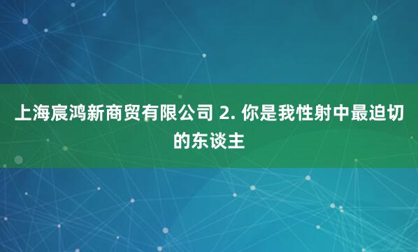 上海宸鸿新商贸有限公司 2. 你是我性射中最迫切的东谈主