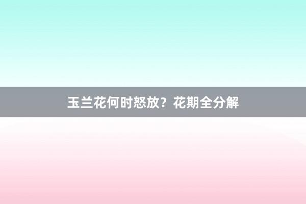 玉兰花何时怒放？花期全分解