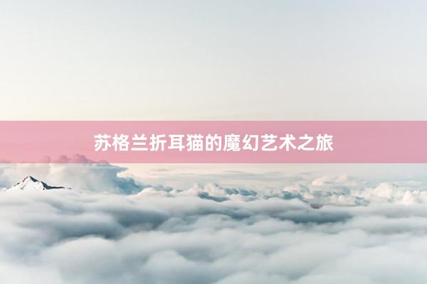 苏格兰折耳猫的魔幻艺术之旅