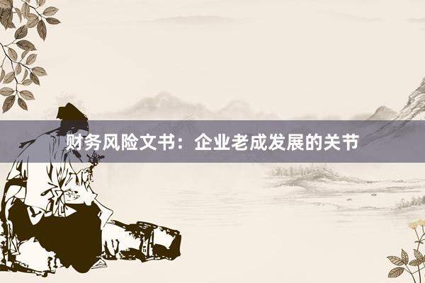 财务风险文书:企业老成发展的关节