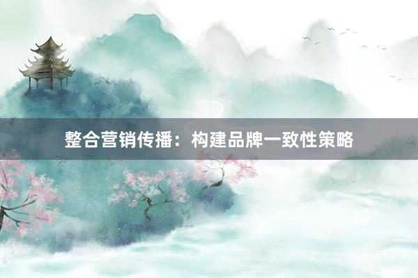 整合营销传播：构建品牌一致性策略